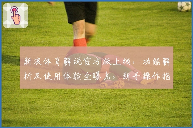 新浪体育解说官方版上线，功能解析及使用体验全曝光，新手操作指南一文读懂