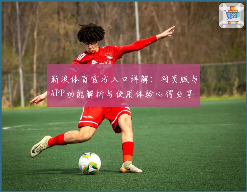 新浪体育官方入口详解：网页版与APP功能解析与使用体验心得分享