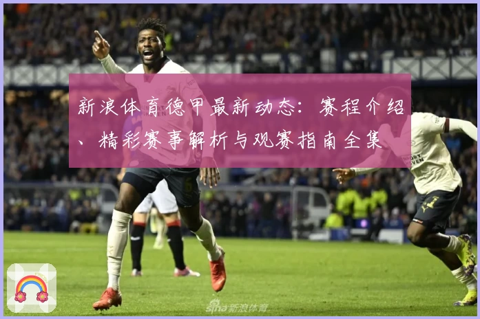 新浪体育德甲最新动态：赛程介绍、精彩赛事解析与观赛指南全集