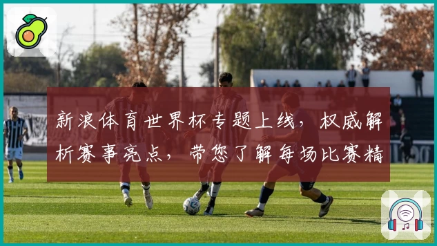 新浪体育世界杯专题上线，权威解析赛事亮点，带您了解每场比赛精彩瞬间