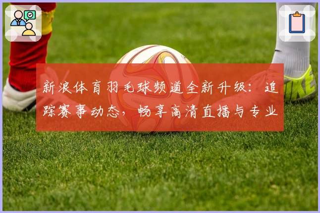 新浪体育羽毛球频道全新升级：追踪赛事动态，畅享高清直播与专业解说