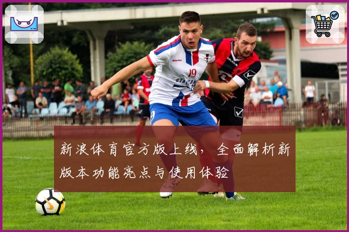 新浪体育官方版上线,全面解析新版本功能亮点与使用体验