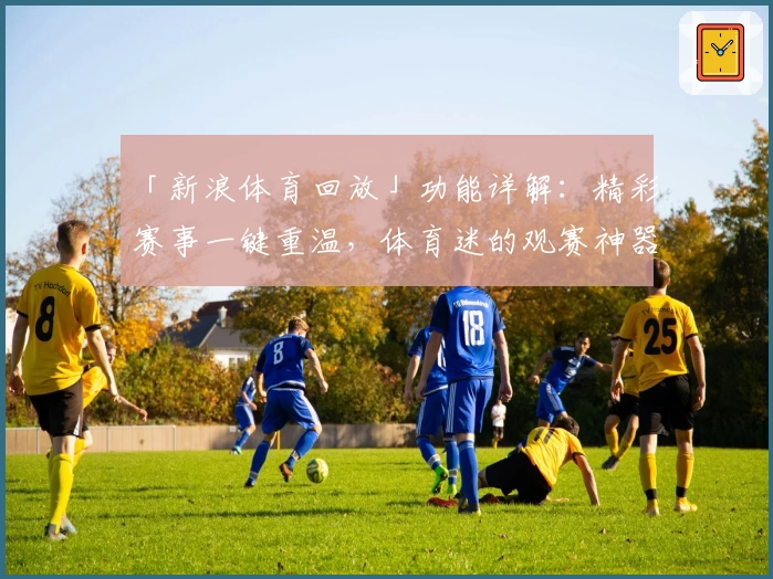 「新浪体育回放」功能详解：精彩赛事一键重温，体育迷的观赛神器
