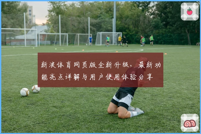新浪体育网页版全新升级，最新功能亮点详解与用户使用体验分享