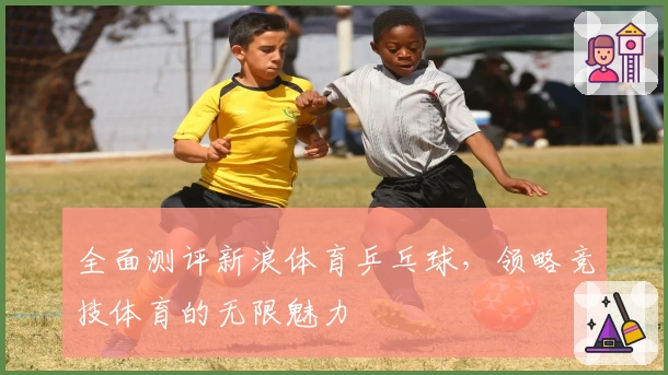 全面测评新浪体育乒乓球,领略竞技体育的无限魅力