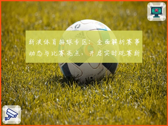 新浪体育排球专区：全面解析赛事动态与比赛亮点，开启实时观赛新体验