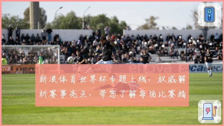 新浪体育世界杯专题上线，权威解析赛事亮点，带您了解每场比赛精彩瞬间