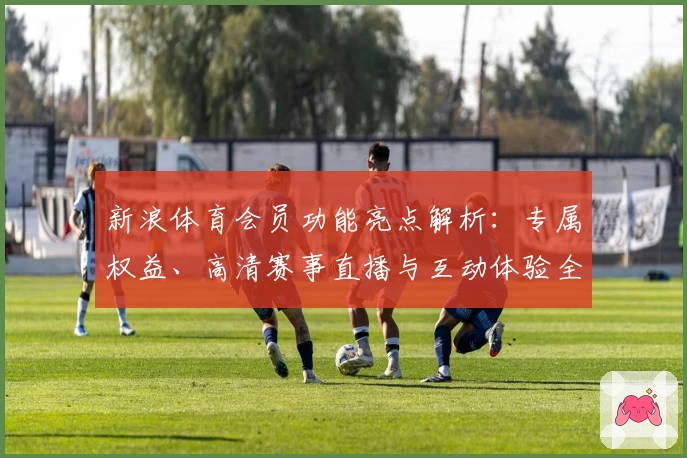新浪体育会员功能亮点解析：专属权益、高清赛事直播与互动体验全面升级