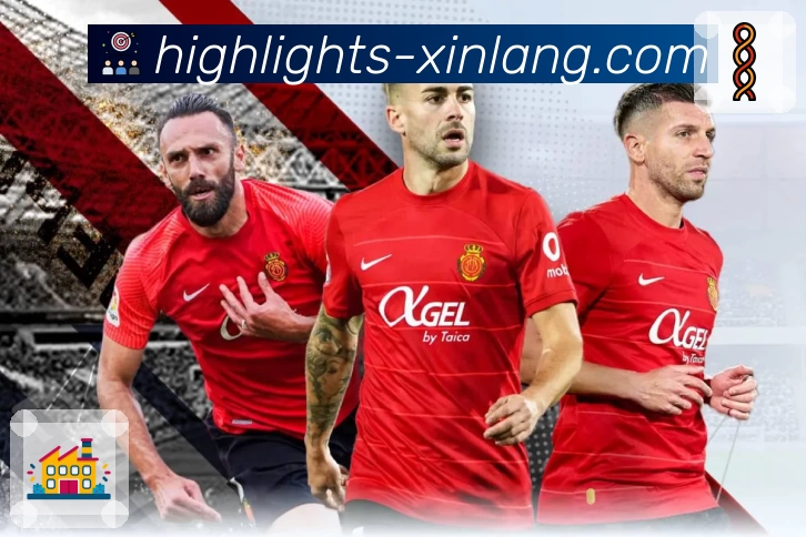 新浪体育 sina体育 平台生态示意图